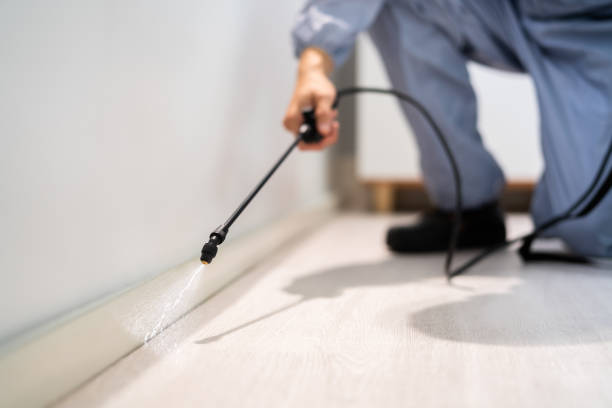 Bed Bug Pre-Treatment Preparation Assessment in Nocatee
