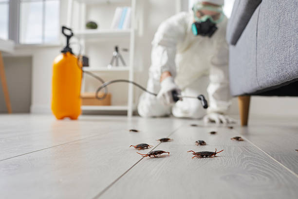 Post-Treatment Bed Bug Interceptor Monitoring in Nocatee