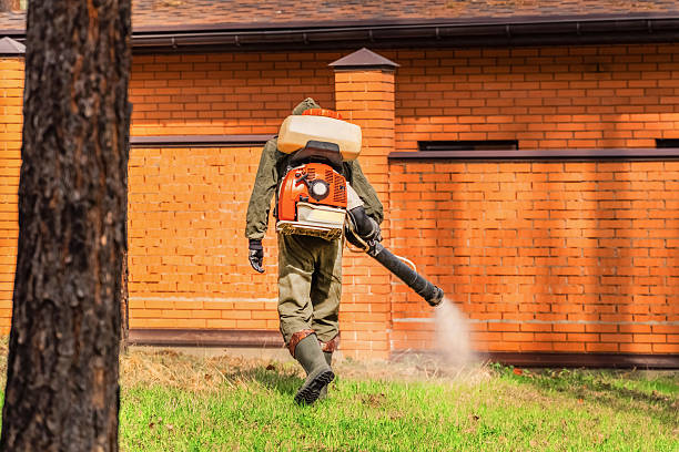 Bed Bug Clearance Verification and Documentation in Nocatee
